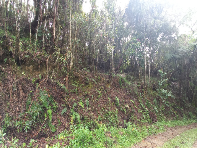 Lote en venta en La Honda, Guarne, 10000 m² · foto 5 de 5