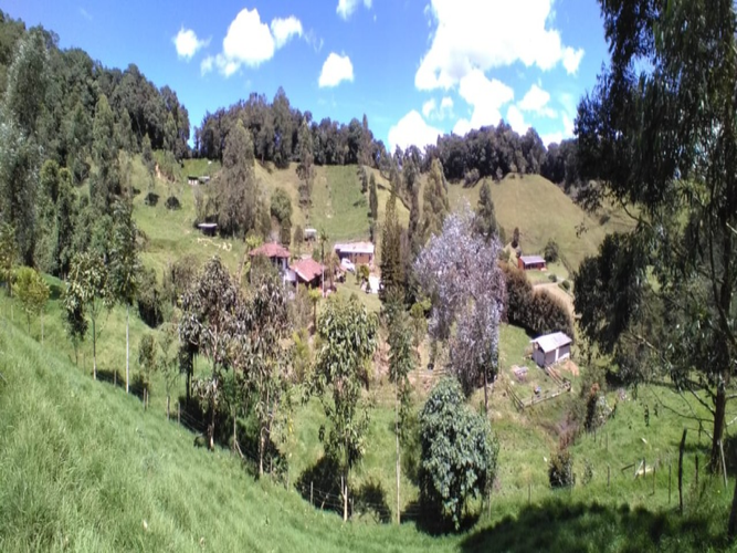 Finca en venta en Pantanillo, El Retiro, 398 m² · foto 17 de 20