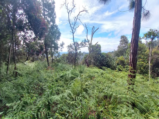 Lote en venta en La Honda, Guarne, 10000 m² · foto 2 de 14