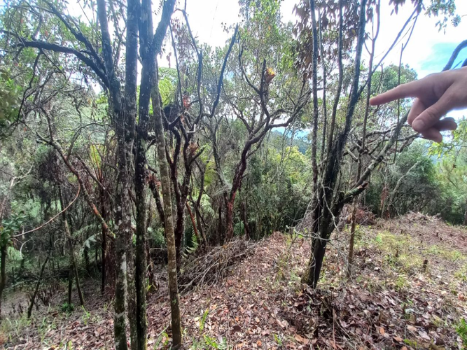 Lote en venta en La Honda, Guarne, 10000 m² · foto 3 de 14