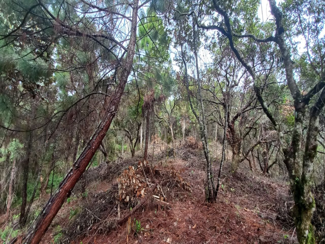 Lote en venta en La Honda, Guarne, 10000 m² · foto 5 de 14