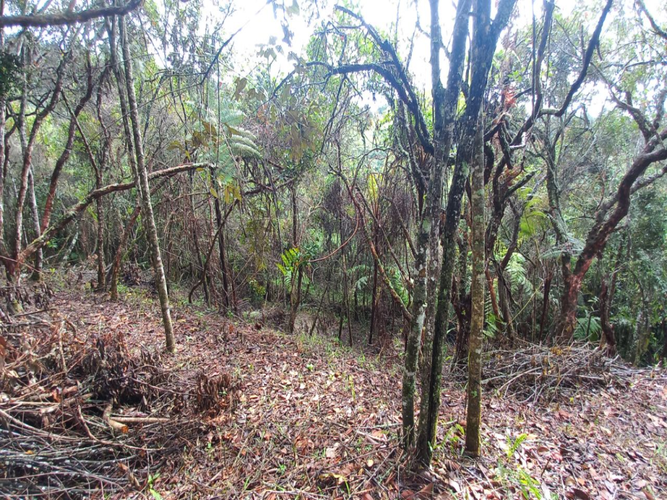Lote en venta en La Honda, Guarne, 10000 m² · foto 10 de 14