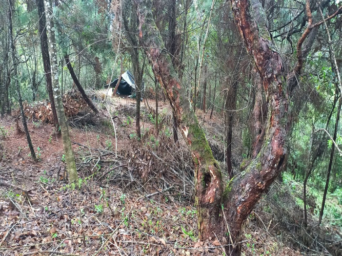Lote en venta en La Honda, Guarne, 10000 m² · foto 11 de 14