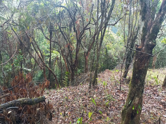 Lote en venta en La Honda, Guarne, 10000 m² · foto 12 de 14
