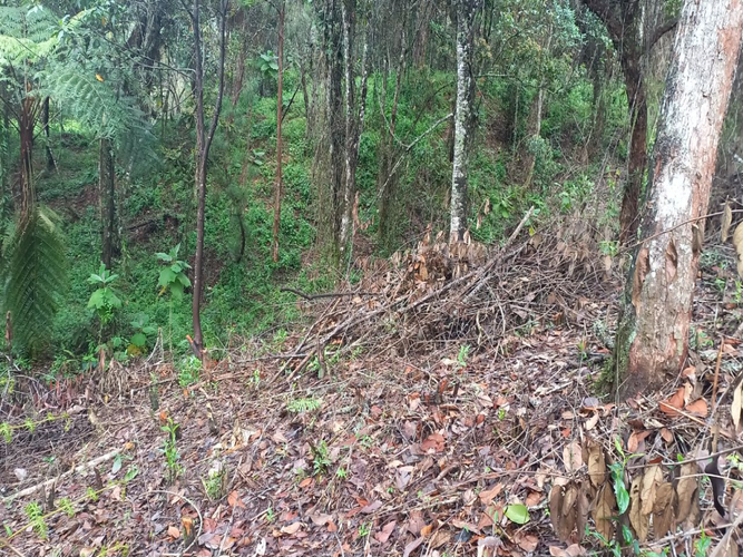 Lote en venta en La Honda, Guarne, 10000 m² · foto 13 de 14
