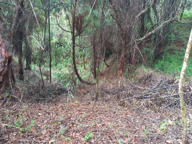 Lote en venta en La Honda, Guarne, 10000 m² · foto 14 de 14