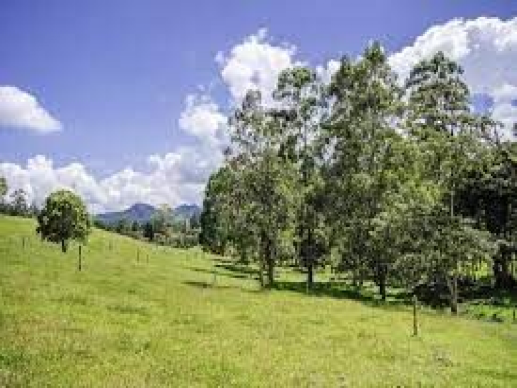 Land in Santa Elena (2560 m²) for Sale