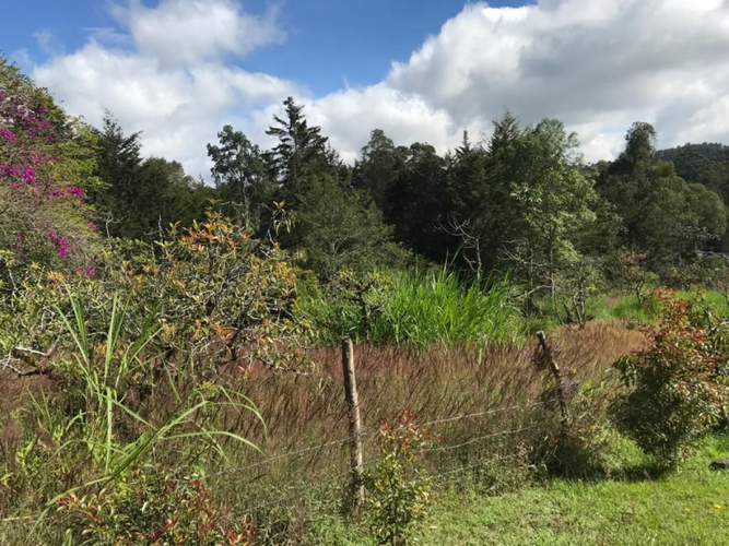 Lote en venta en Perico, Envigado, 5000 m² · foto 3 de 11