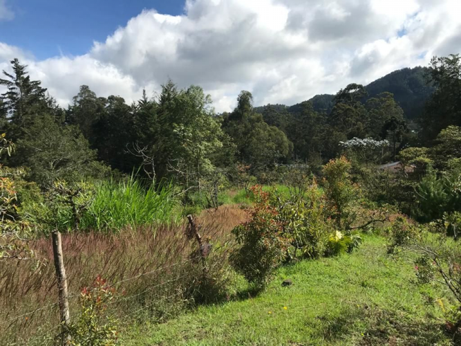 Lote en venta en Perico, Envigado, 5000 m² · foto 5 de 11