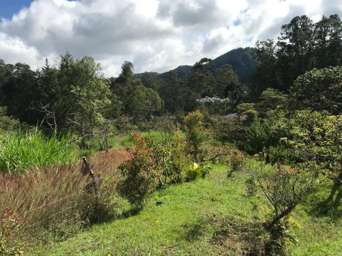 Lote en venta en Perico, Envigado, 5000 m² · foto 7 de 11