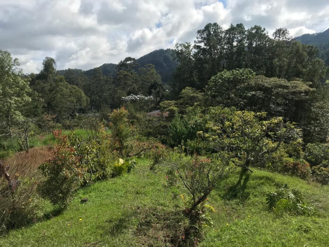 Lote en venta en Perico, Envigado, 5000 m² · foto 8 de 11