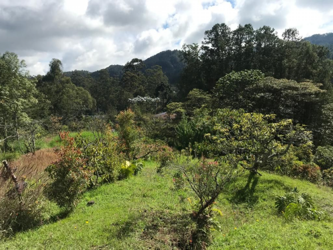 Lote en venta en Perico, Envigado, 5000 m² · foto 11 de 11