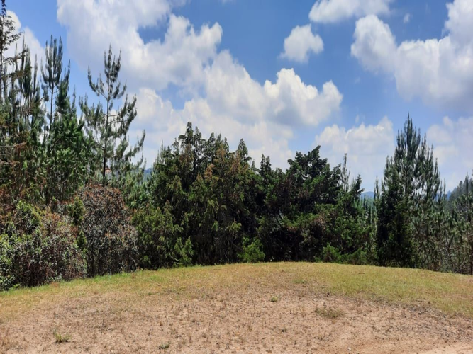 Lote en venta en Los Salados, El Retiro, 7452 m² · foto 2 de 5