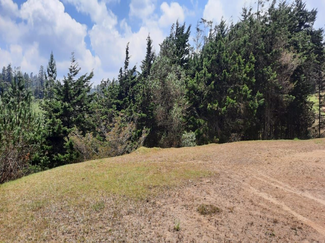 Lote en venta en Los Salados, El Retiro, 7452 m² · foto 3 de 5