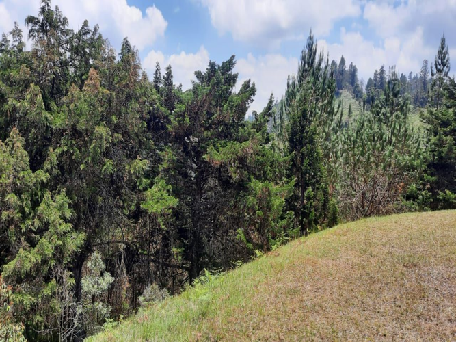 Lote en venta en Los Salados, El Retiro, 7452 m² · foto 5 de 5