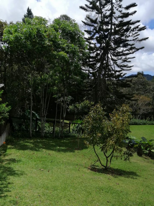 Finca en venta en Carrizales, El Retiro, 200 m² · foto 10 de 20