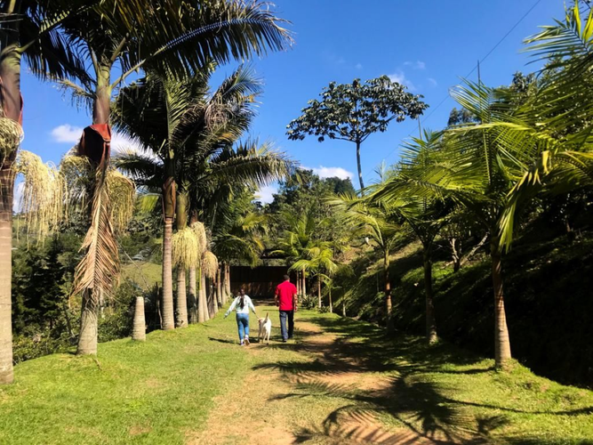 Finca en venta en Puente Pelaez, El Retiro, 300 m² · foto 2 de 19