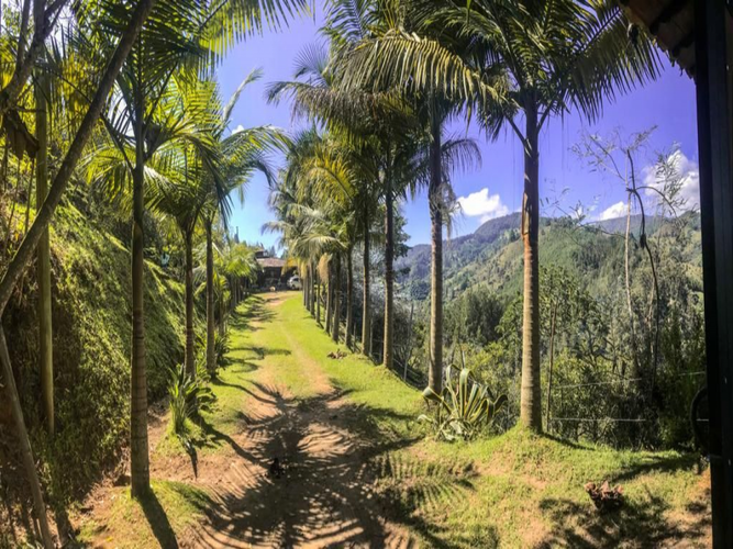 Finca en venta en Puente Pelaez, El Retiro, 300 m² · foto 4 de 19