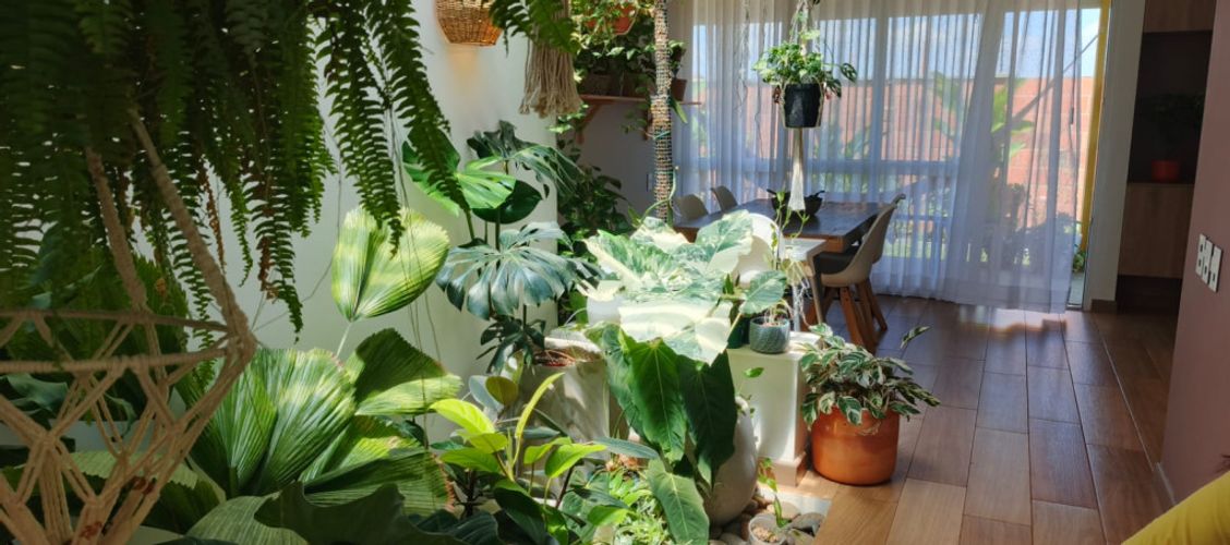 Casa de 3 alcobas en venta en Las Mercedes, Jamundí, 113 m² · foto 14 de 24