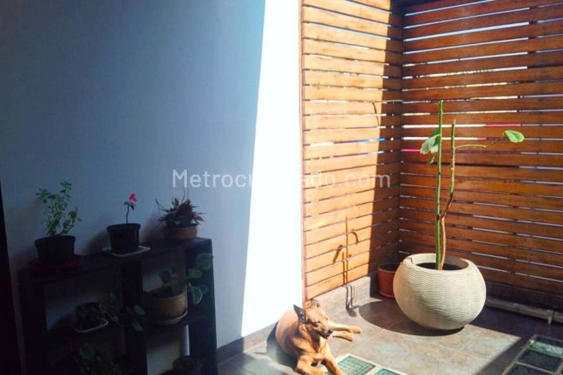 Casa en venta en Bosques De San Carlos, Bogotá · foto 16 de 20
