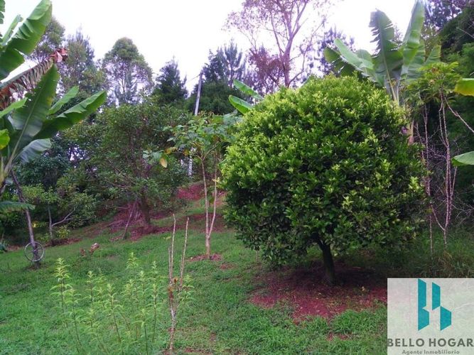 Casa de 3 alcobas en venta en Guarne · foto 21 de 24