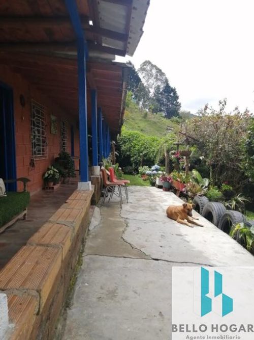 Casa de 3 alcobas en venta en Guarne · foto 24 de 24