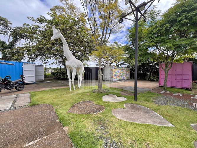 Local en venta en Cerritos, Pereira, 600 m² · foto 14 de 16