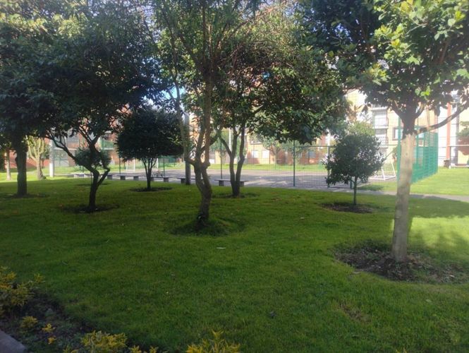 Apartamento de 3 alcobas en venta en La Prosperidad, Madrid, 62 m² · foto 18 de 24