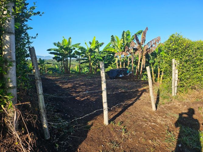 Lote en venta en La Estrella La Palm, Pereira, 2050 m² · foto 7 de 14