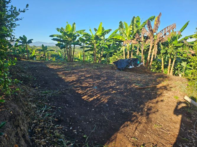 Lote en venta en La Estrella La Palm, Pereira, 2050 m² · foto 4 de 8