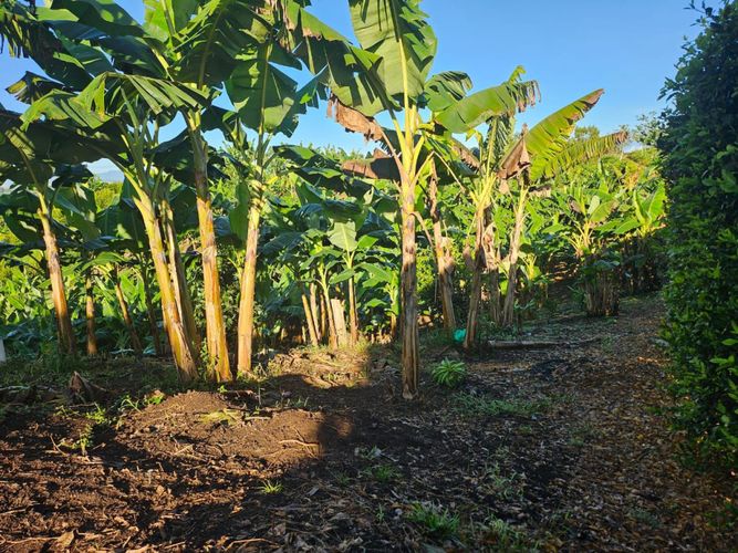 Lote en venta en La Estrella La Palm, Pereira, 2050 m² · foto 6 de 8