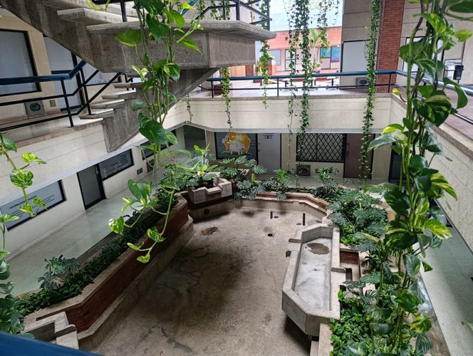 Oficina en arriendo en San Fernando Viejo, Cali, 20 m² · foto 18 de 24