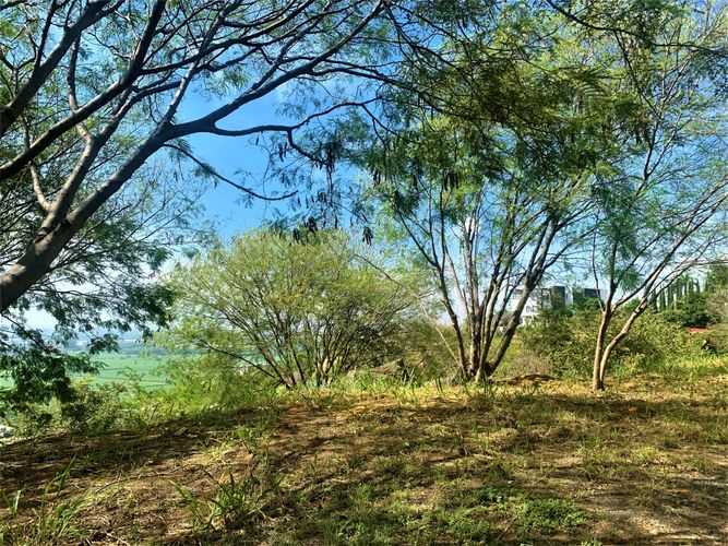Lote en venta en Zona Industrial, Yumbo, 5 m² · foto 6 de 24