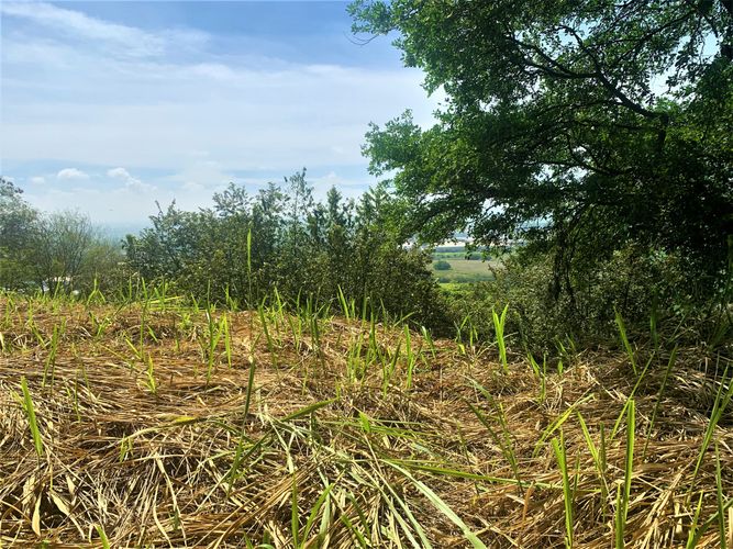 Lote en venta en Zona Industrial, Yumbo, 5 m² · foto 17 de 24