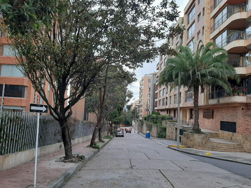 Apartamento en venta en Los Rosales, Bogotá · foto 23 de 24