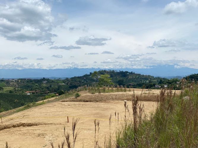 Lote en venta en Tribunas Corcega, Pereira, 1500 m² · foto 4 de 13