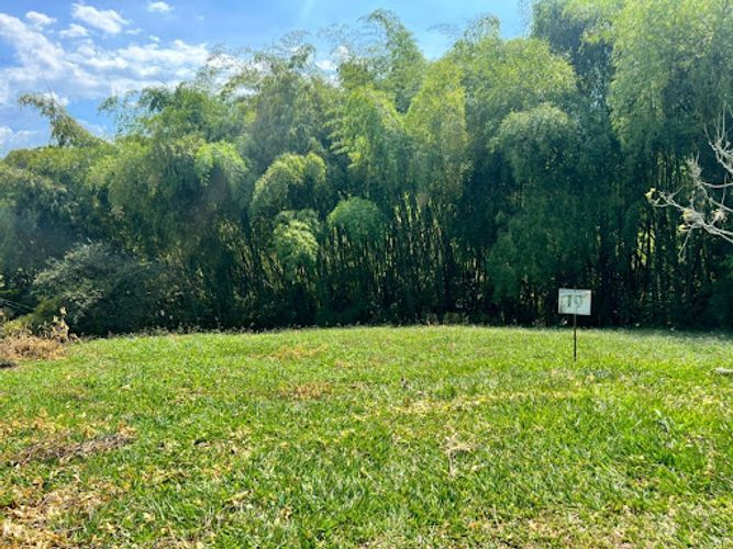 Lote en venta en Pueblito Cafetero, Pereira, 1346 m² · foto 7 de 7
