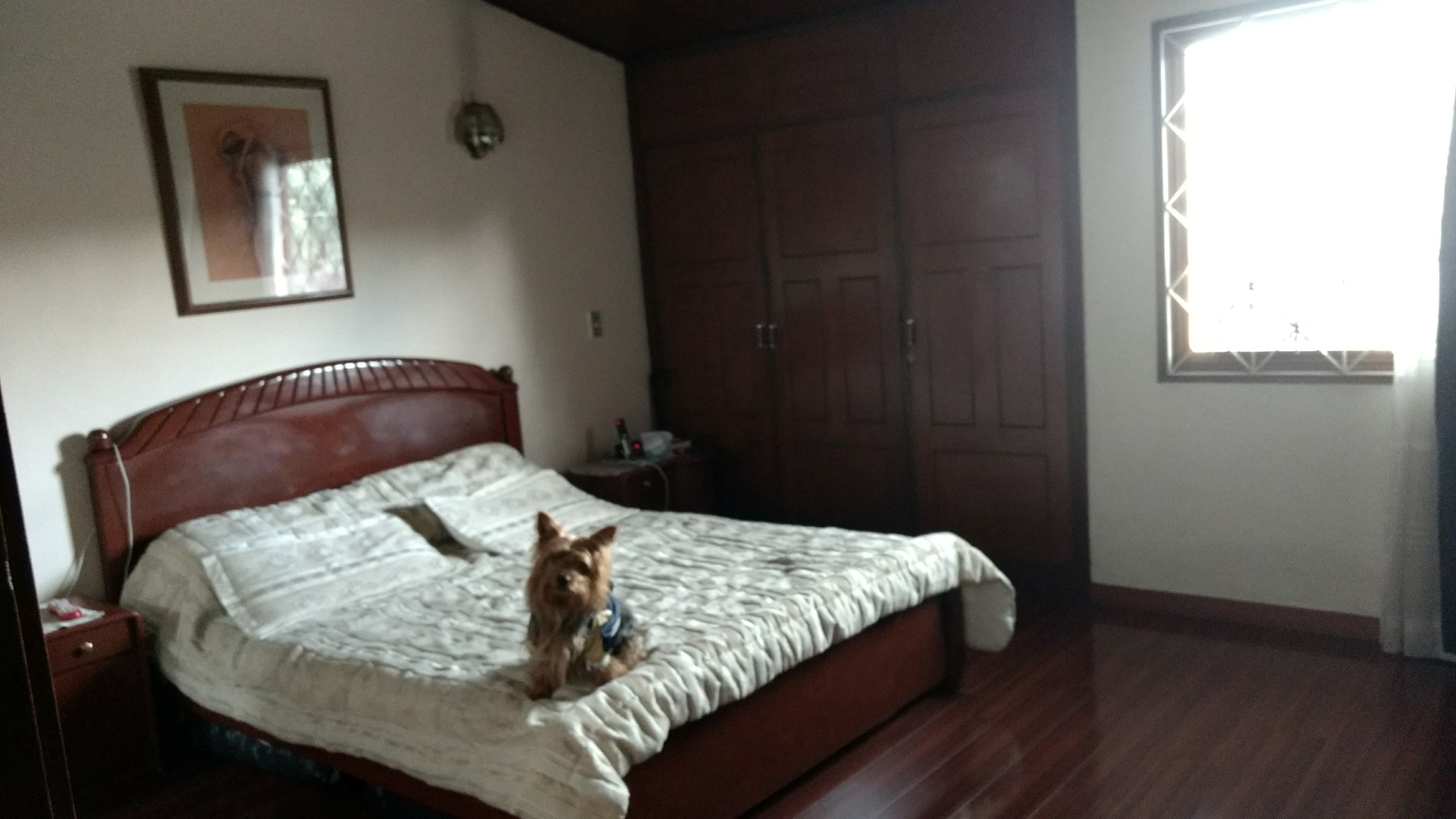 Casa en venta en Pontevedra, Bogotá · foto 10 de 19