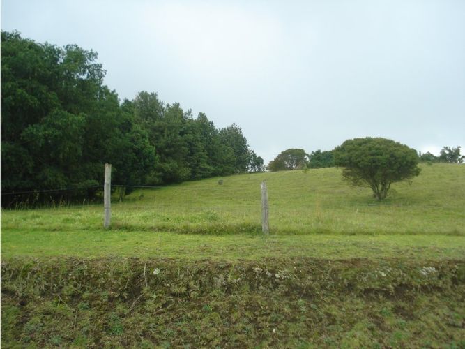 Lote en venta en Yerbabuena, Chía, 10000 m² · foto 2 de 8
