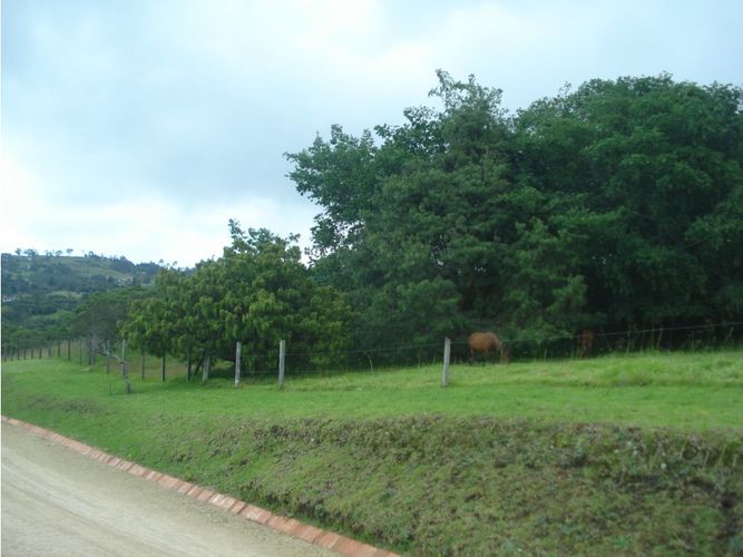 Lote en venta en Yerbabuena, Chía, 10000 m² · foto 3 de 8