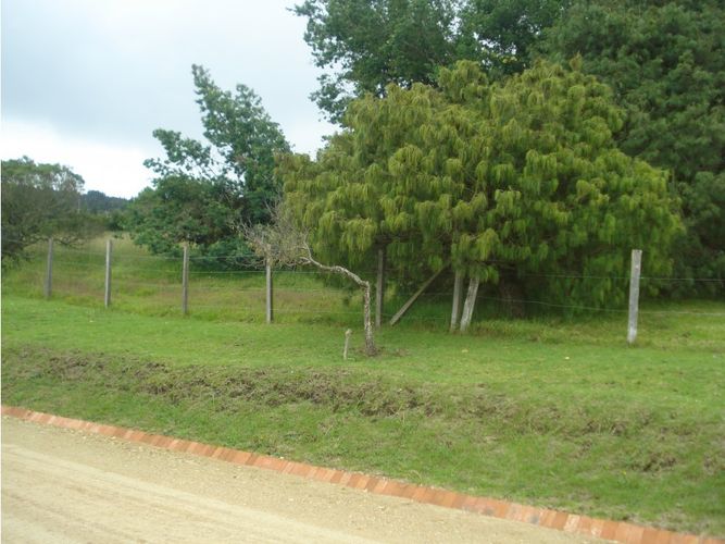 Lote en venta en Yerbabuena, Chía, 10000 m² · foto 5 de 8