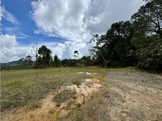 Lote en venta en Pantanillo, El Retiro, 3511 m² · foto 6 de 12