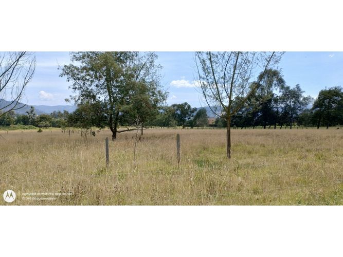 Lote en venta en Santa Ana De Chia, Cajicá, 24900 m² · foto 2 de 6