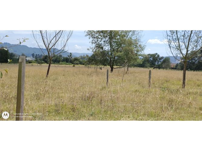Lote en venta en Santa Ana De Chia, Cajicá, 24900 m² · foto 5 de 6