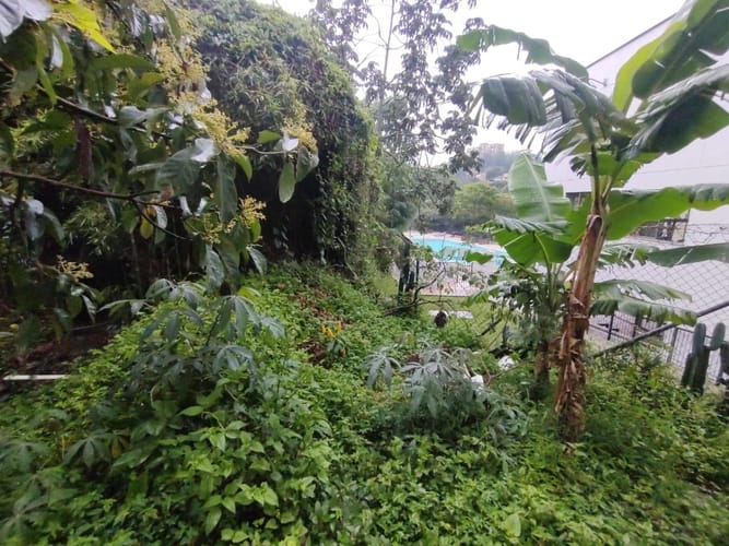 Lote en venta en Cumbres, Envigado, 1000 m² · foto 7 de 9