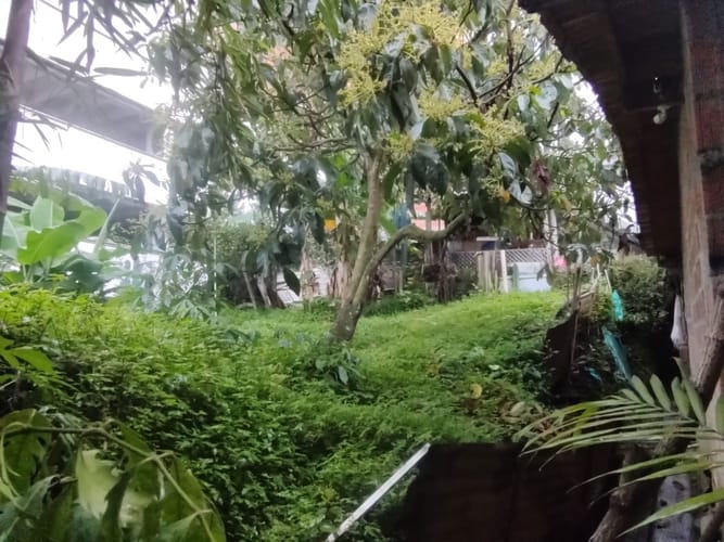 Lote en venta en Cumbres, Envigado, 1000 m² · foto 8 de 9