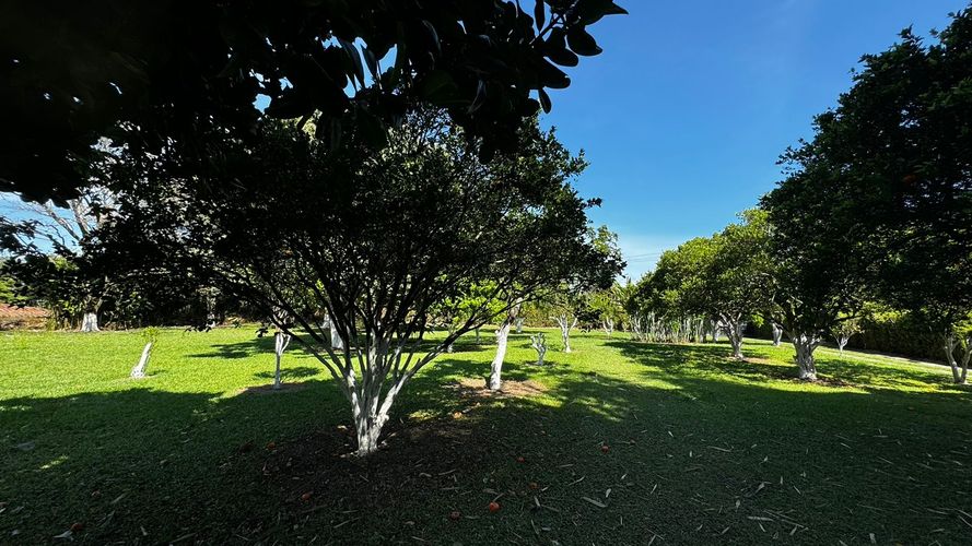 Lote en venta en Morelia, Pereira, 20800 m² · foto 4 de 9