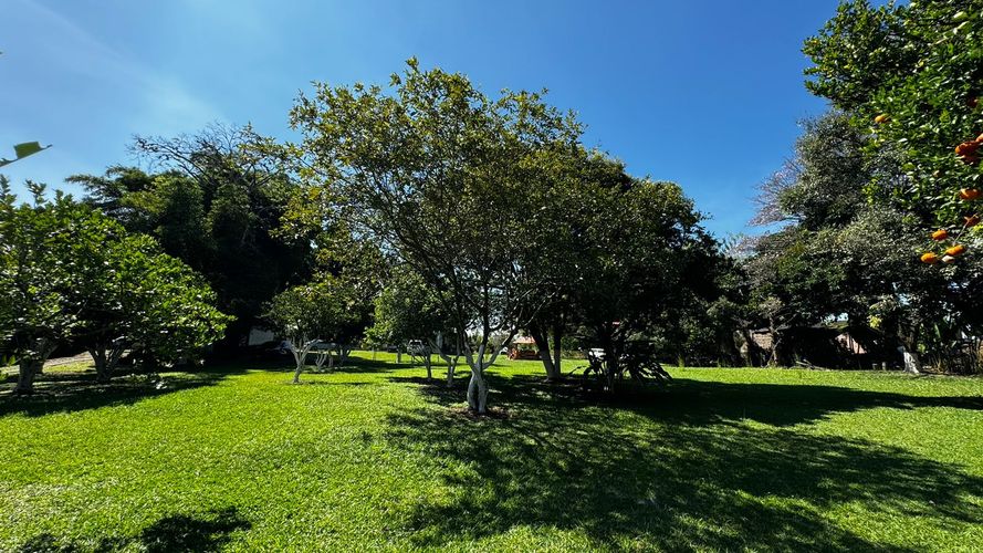 Lote en venta en Morelia, Pereira, 20800 m² · foto 5 de 9