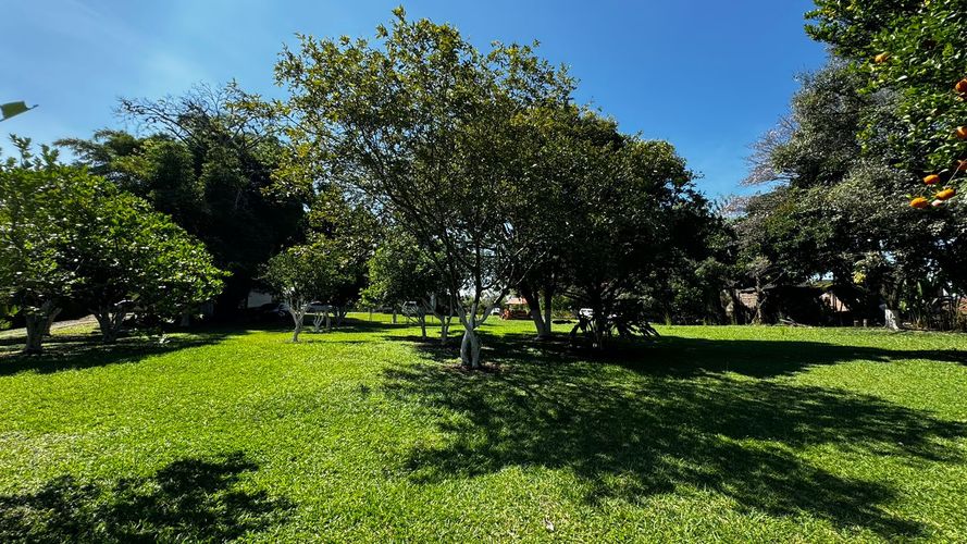 Lote en venta en Morelia, Pereira, 20800 m² · foto 6 de 9
