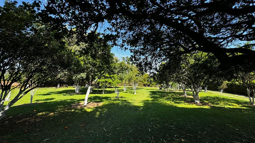 Lote en venta en Morelia, Pereira, 20800 m² · foto 7 de 9
